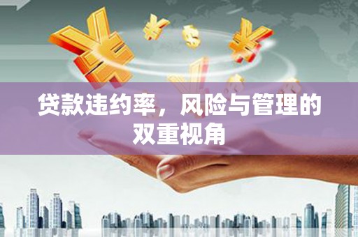 西固贷款违约率，风险与管理的双重视角