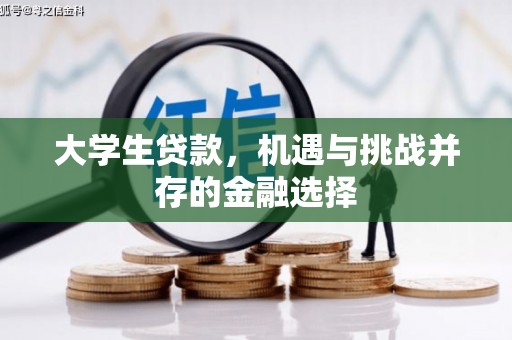 西固大学生贷款，机遇与挑战并存的金融选择
