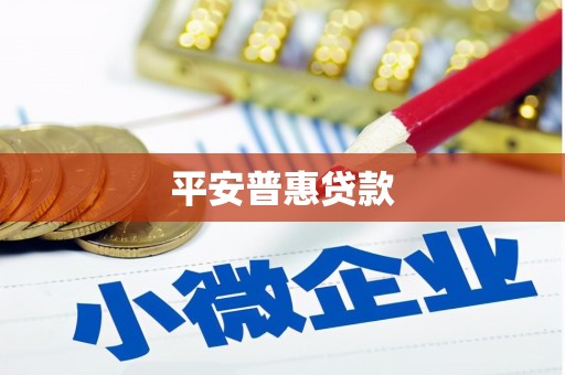 西固平安普惠贷款