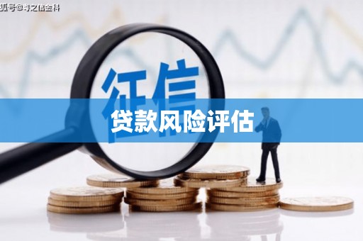 西固贷款风险评估