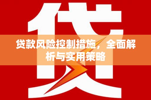 西固贷款风险控制措施，全面解析与实用策略