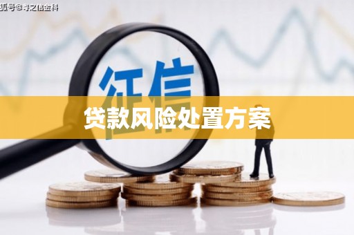 西固贷款风险处置方案