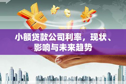 西固小额贷款公司利率，现状、影响与未来趋势