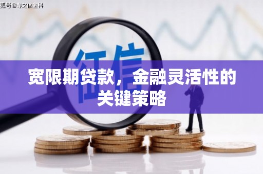 西固宽限期贷款，金融灵活性的关键策略