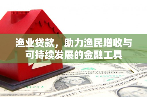 西固渔业贷款，助力渔民增收与可持续发展的金融工具