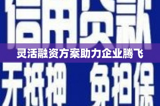 西固灵活融资方案助力企业腾飞