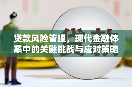 西固贷款风险管理，现代金融体系中的关键挑战与应对策略