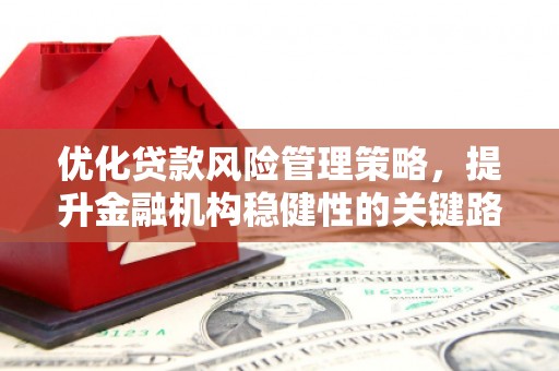 西固优化贷款风险管理策略，提升金融机构稳健性的关键路径