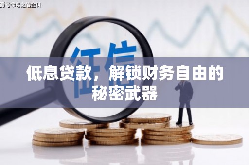 西固低息贷款，解锁财务自由的秘密武器