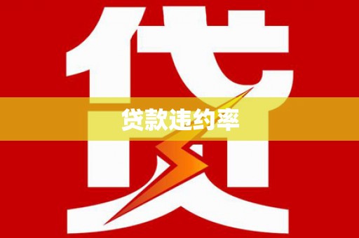 西固贷款违约率