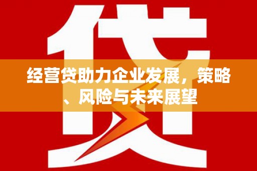 西固经营贷助力企业发展，策略、风险与未来展望