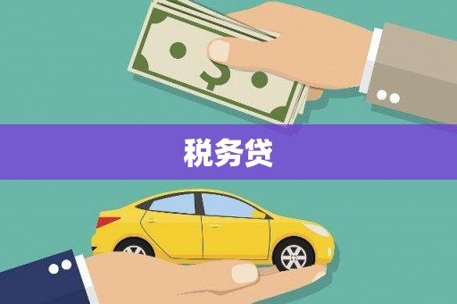 西固税务贷