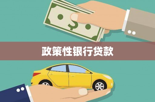西固政策性银行贷款