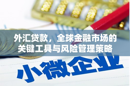 西固外汇贷款，全球金融市场的关键工具与风险管理策略