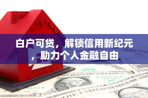 西固白户可贷，解锁信用新纪元，助力个人金融自由