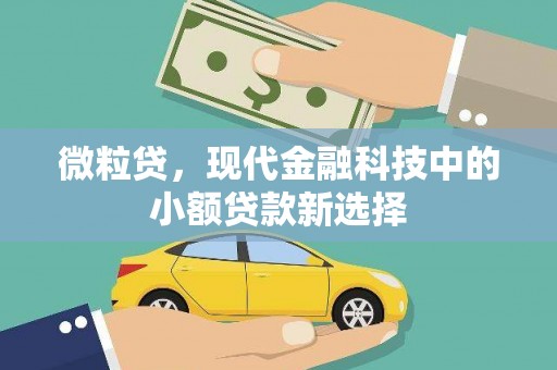 西固微粒贷，现代金融科技中的小额贷款新选择