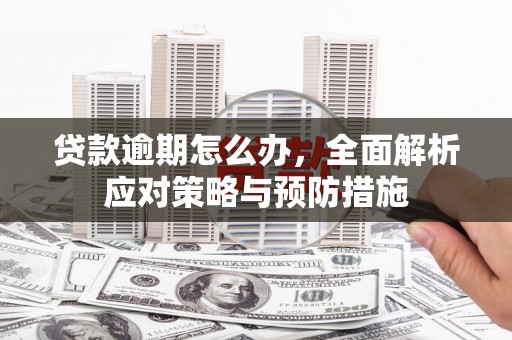 西固贷款逾期怎么办，全面解析应对策略与预防措施