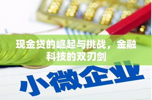西固现金贷的崛起与挑战，金融科技的双刃剑