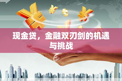 西固现金贷，金融双刃剑的机遇与挑战