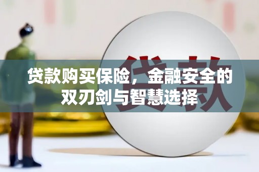 西固贷款购买保险，金融安全的双刃剑与智慧选择
