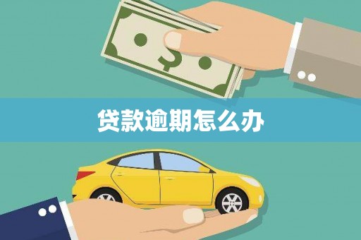 西固贷款逾期怎么办