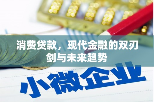 西固消费贷款，现代金融的双刃剑与未来趋势