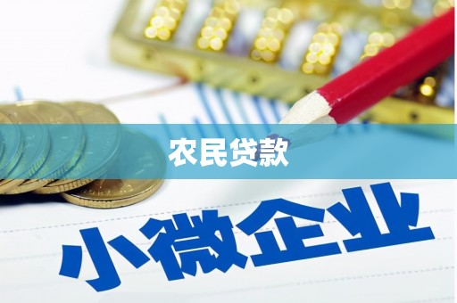 西固农民贷款