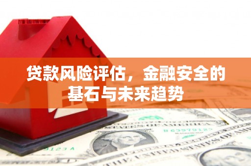 西固贷款风险评估，金融安全的基石与未来趋势