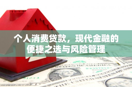 西固个人消费贷款，现代金融的便捷之选与风险管理