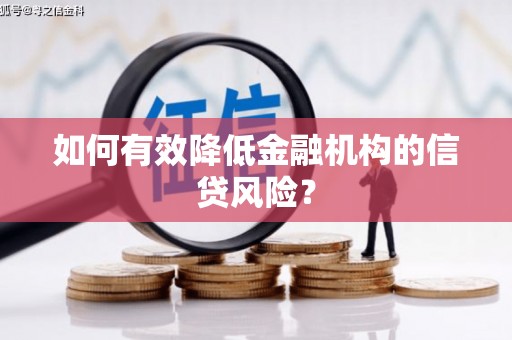 西固如何有效降低金融机构的信贷风险？