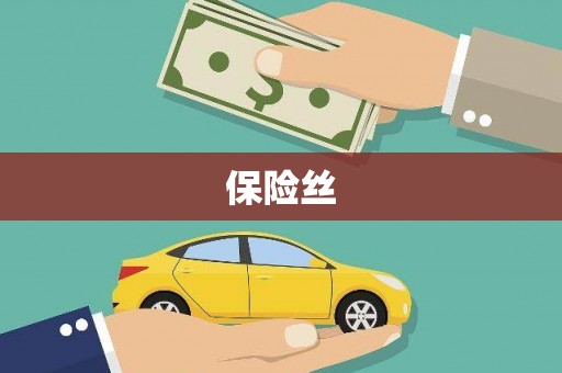 西固保险丝