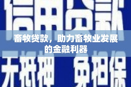 西固畜牧贷款，助力畜牧业发展的金融利器