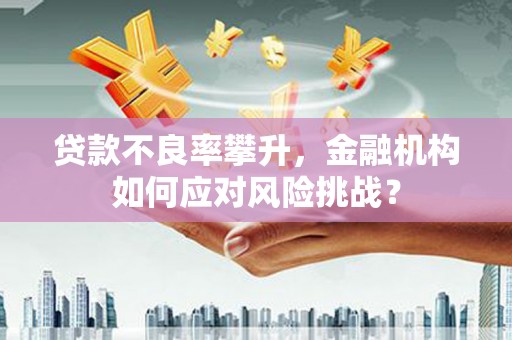 西固贷款不良率攀升，金融机构如何应对风险挑战？