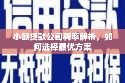西固小额贷款公司利率解析，如何选择最优方案