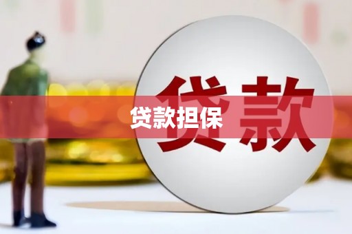 西固贷款担保
