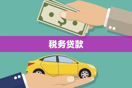 西固税务贷款