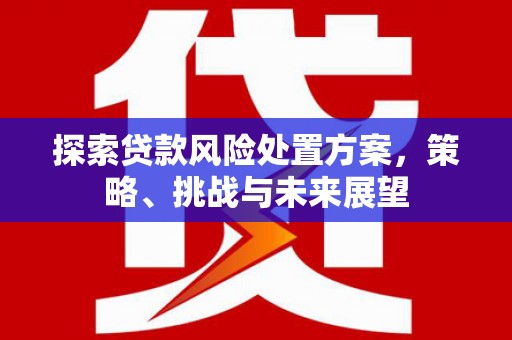 西固探索贷款风险处置方案，策略、挑战与未来展望