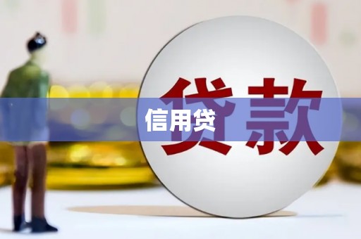 西固信用贷