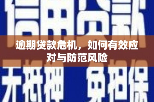 西固逾期贷款危机，如何有效应对与防范风险