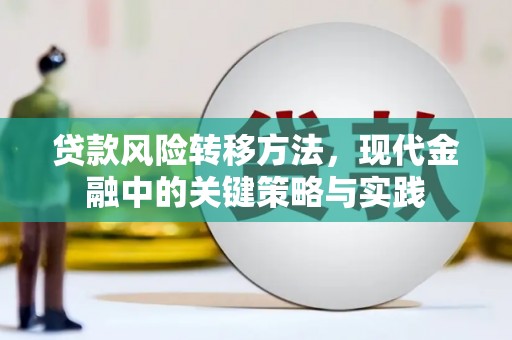 西固贷款风险转移方法，现代金融中的关键策略与实践