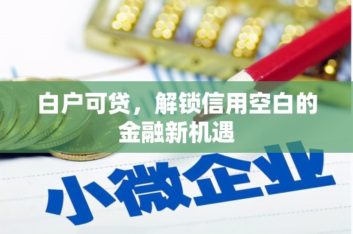 西固白户可贷，解锁信用空白的金融新机遇