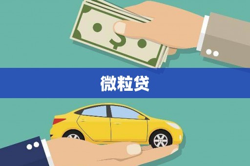 西固微粒贷