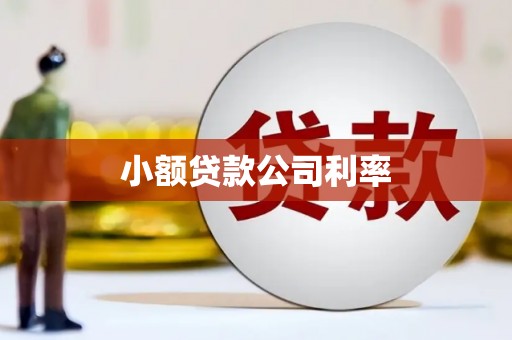 西固小额贷款公司利率