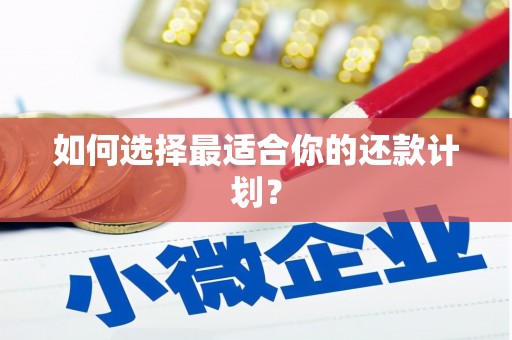 西固如何选择最适合你的还款计划？