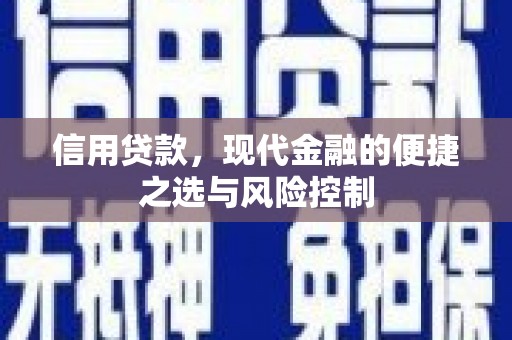 西固信用贷款，现代金融的便捷之选与风险控制