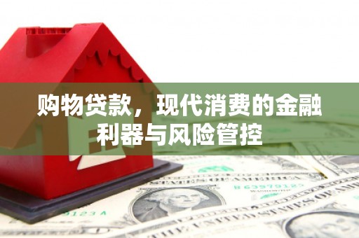 西固购物贷款，现代消费的金融利器与风险管控