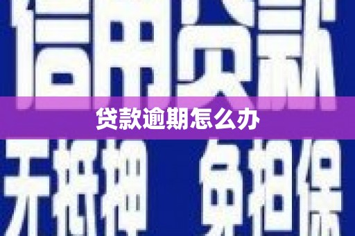 西固贷款逾期怎么办