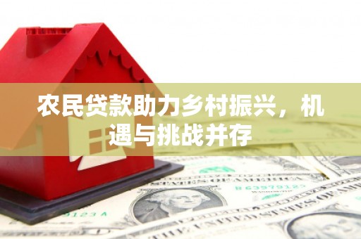 西固农民贷款助力乡村振兴，机遇与挑战并存