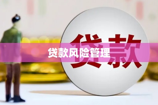西固贷款风险管理