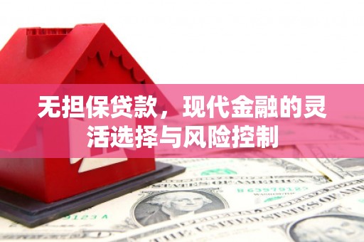 西固无担保贷款，现代金融的灵活选择与风险控制